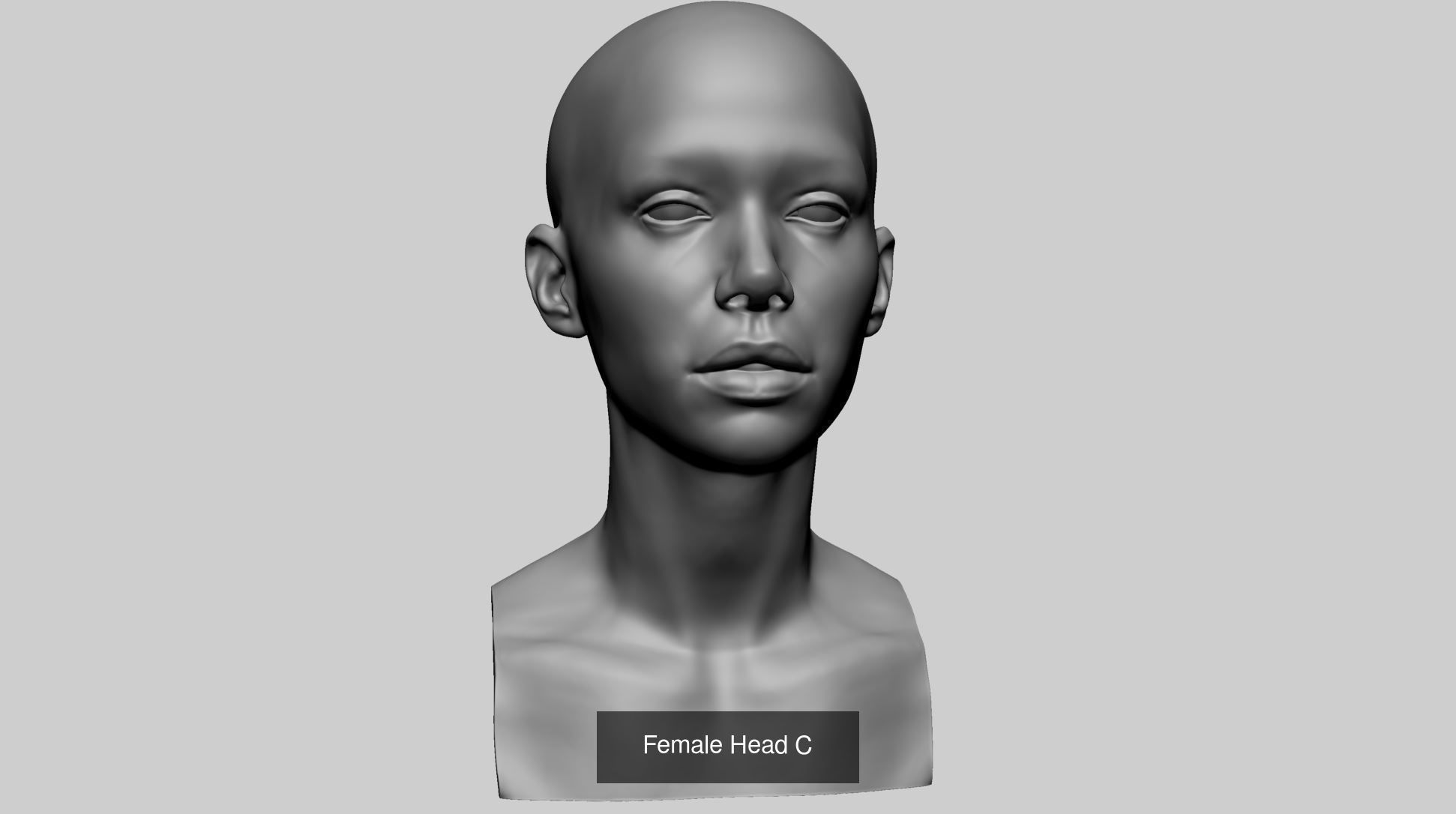 Female Head Collection A _12