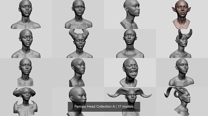 Female Head Collection A 