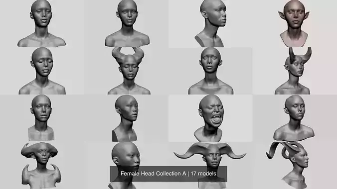 Female Head Collection A 
