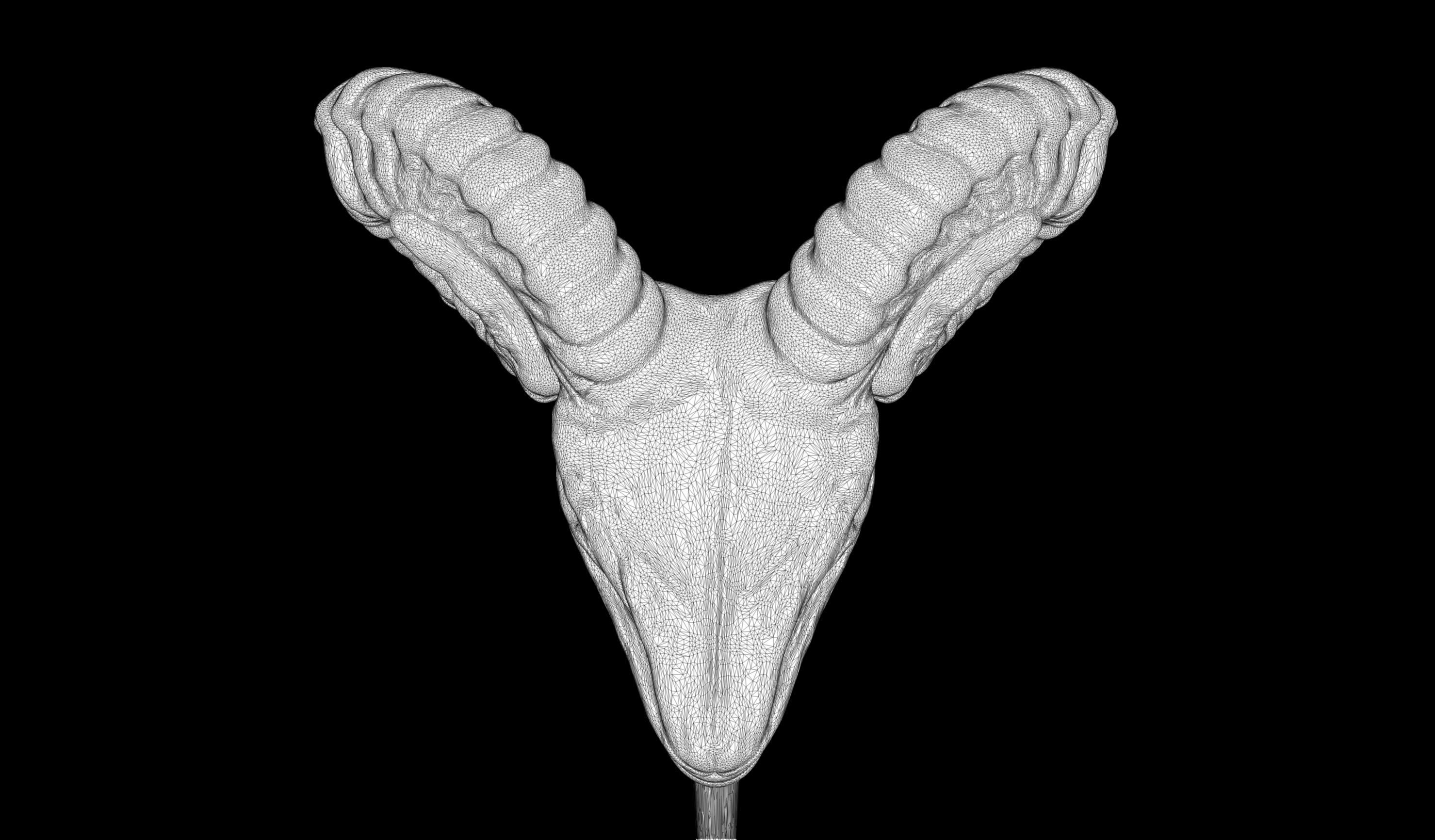 3D PRINTABLE SKELETOR HAVOC STAFF - 1982 - HIGHLY ACCURATE 3D print model_16