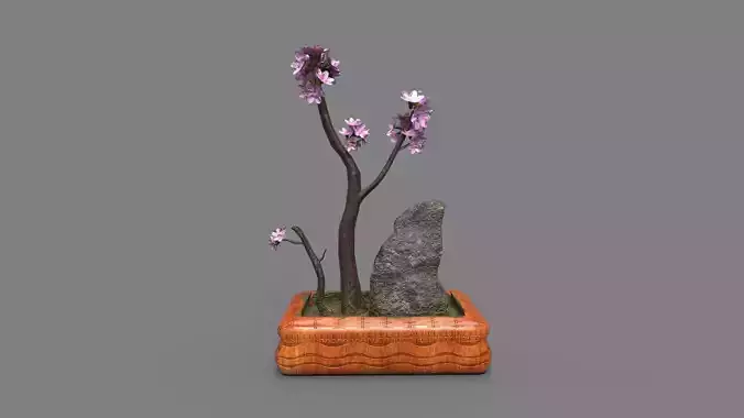 Bonsai Tree with pink flowers 3d Model