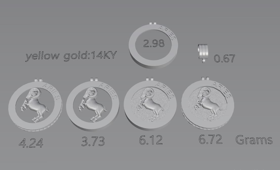 48 model of  zodiac pendant 3D print model_18