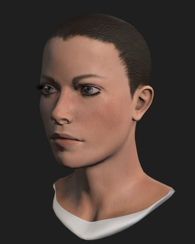 Simple Female Head Mesh Free 3D model