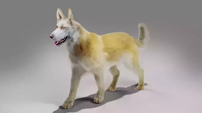 Fur Big Dog Yellow  No Rigged