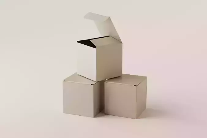 Packaging Box Low-poly 3D model