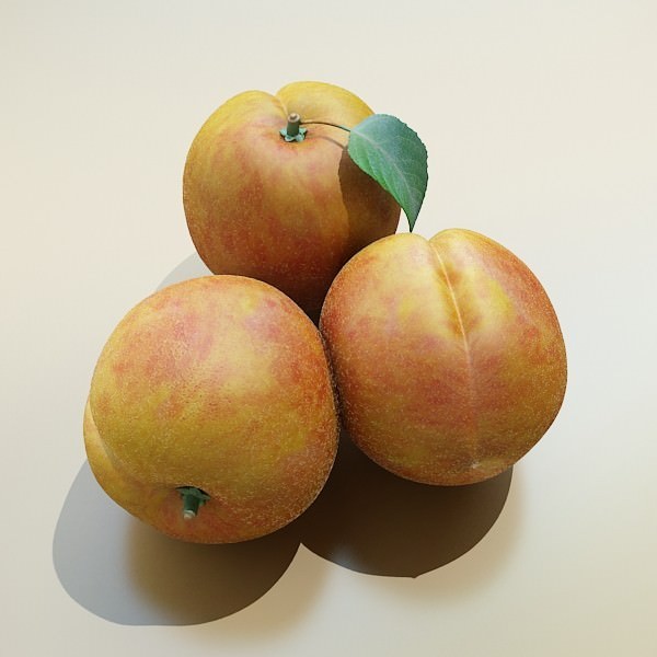 Peaches in Basket 3D model_19