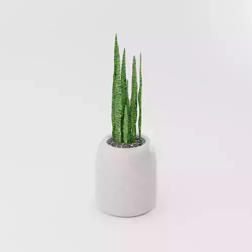 Modern Marble Pot