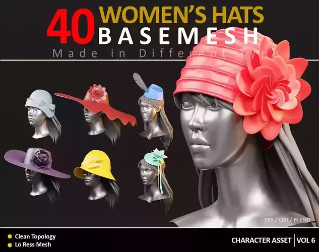 40 WOMENS HATS BASEMESH  VOL 6