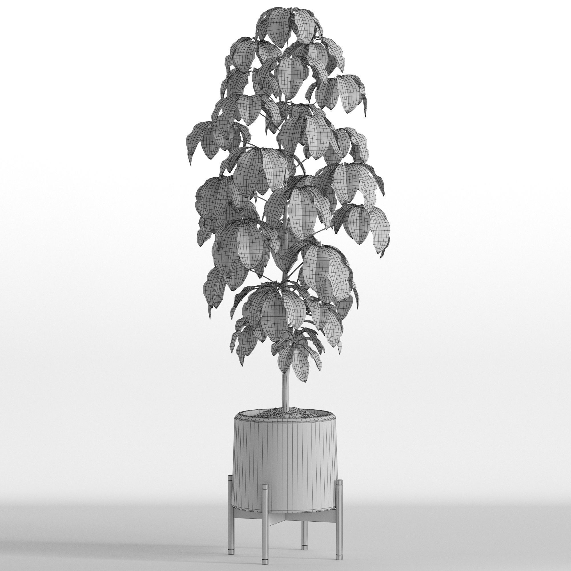 Plants collection 739 3D model_4