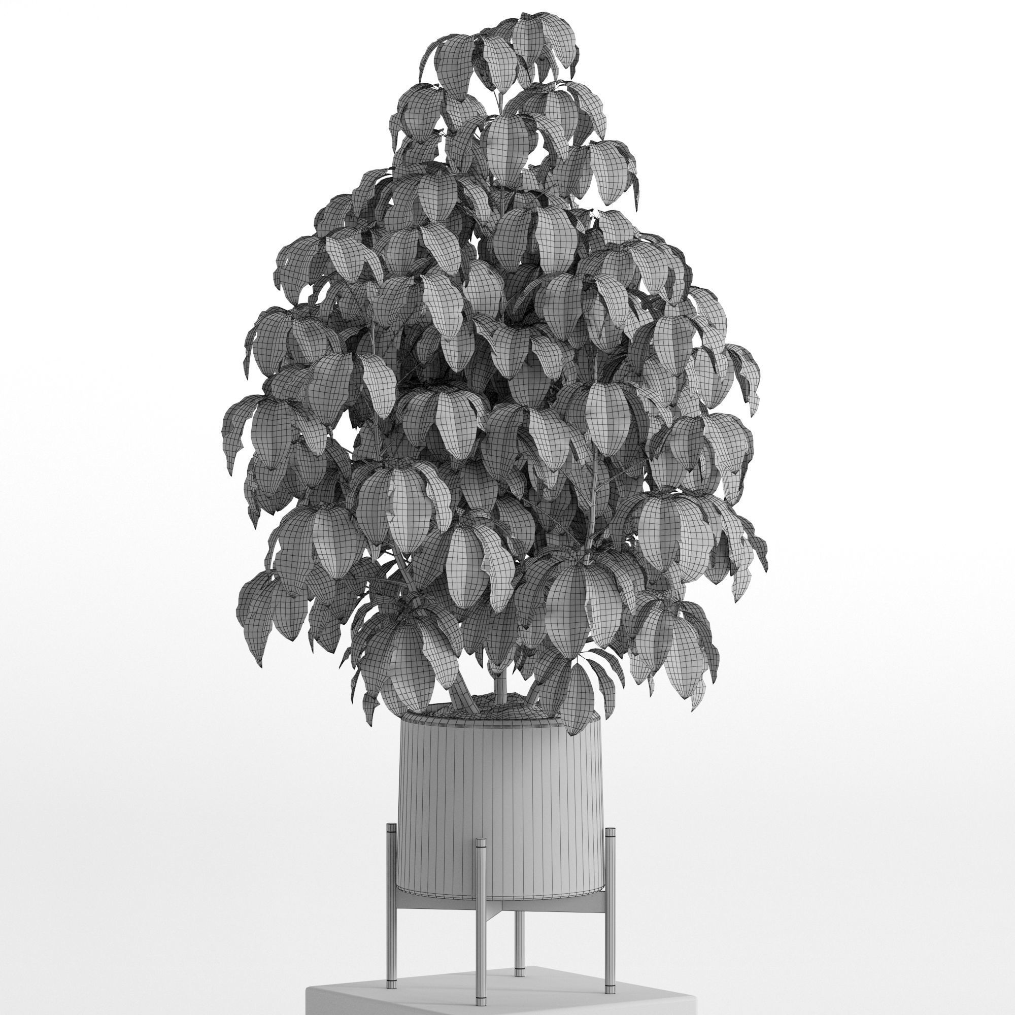 Plants collection 739 3D model_3