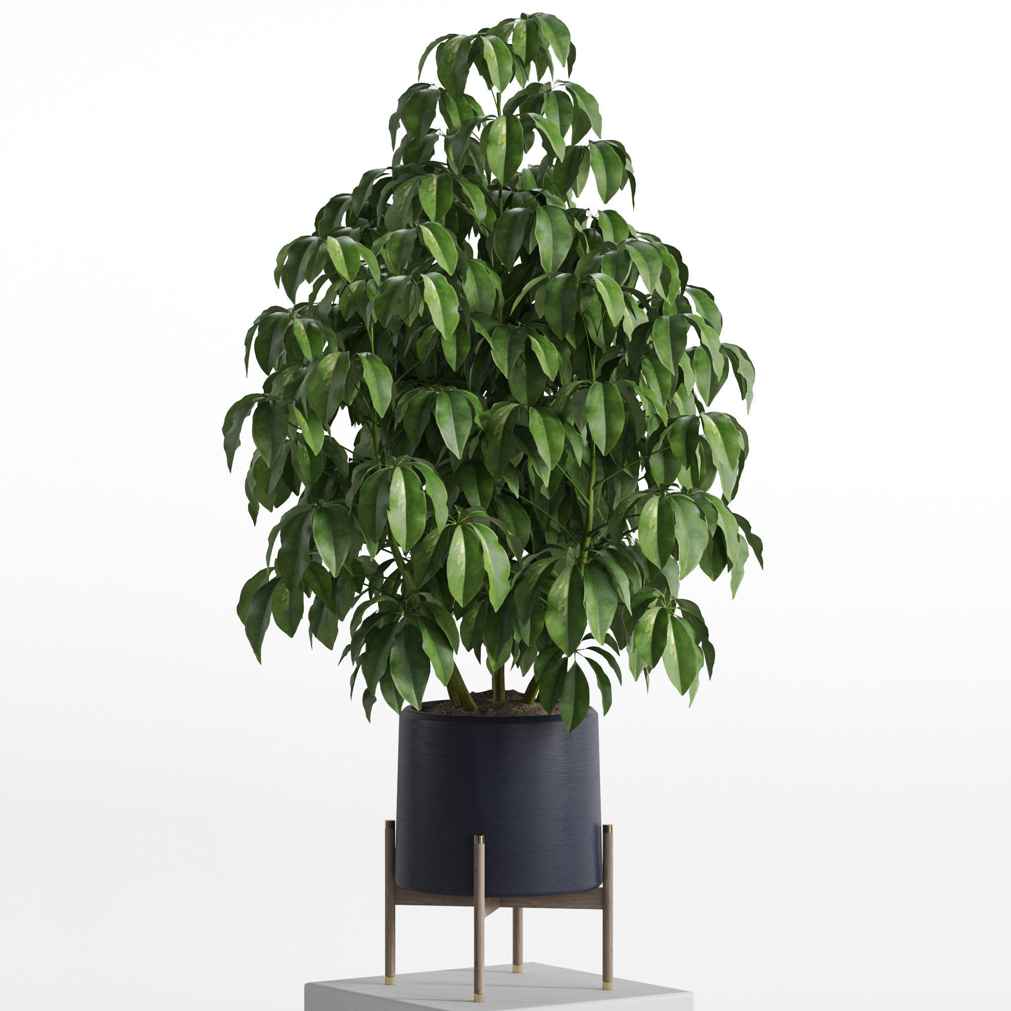 Plants collection 739 3D model_1