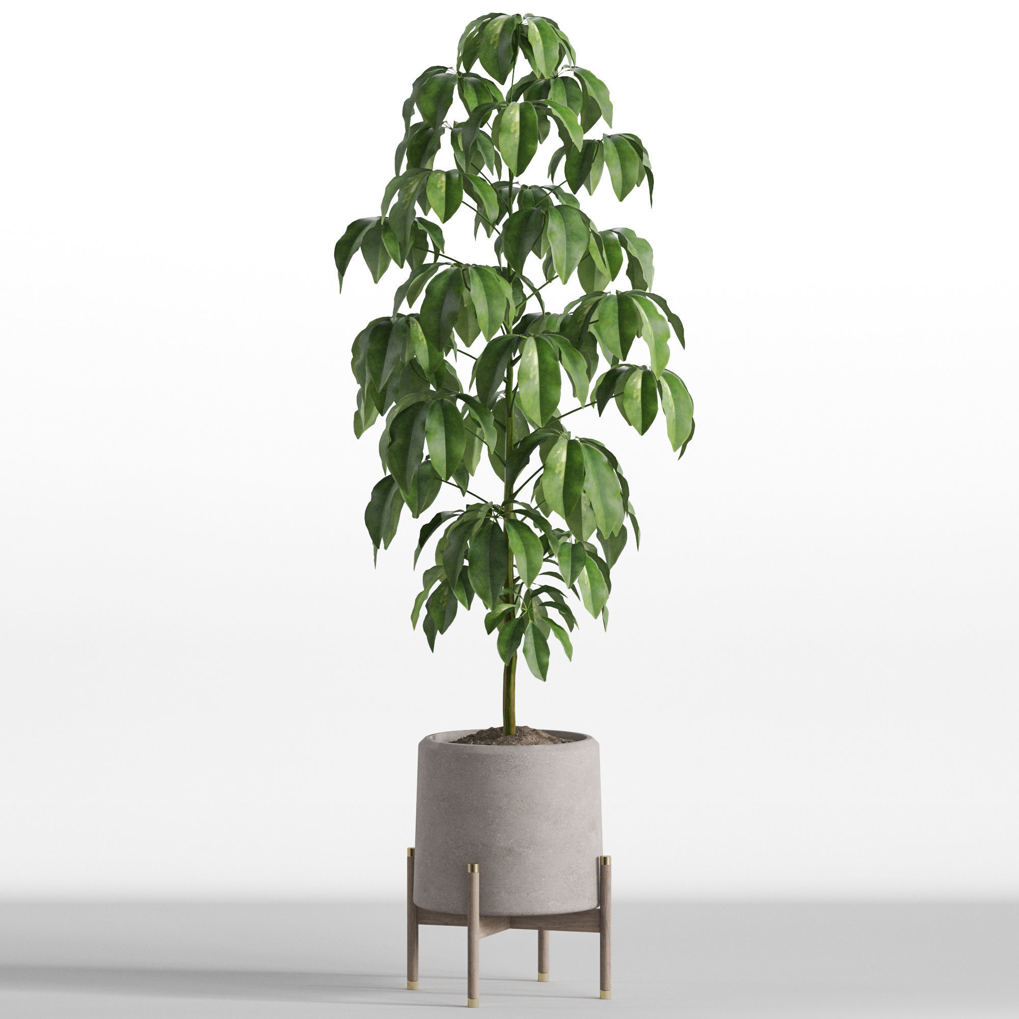 Plants collection 739 3D model_2