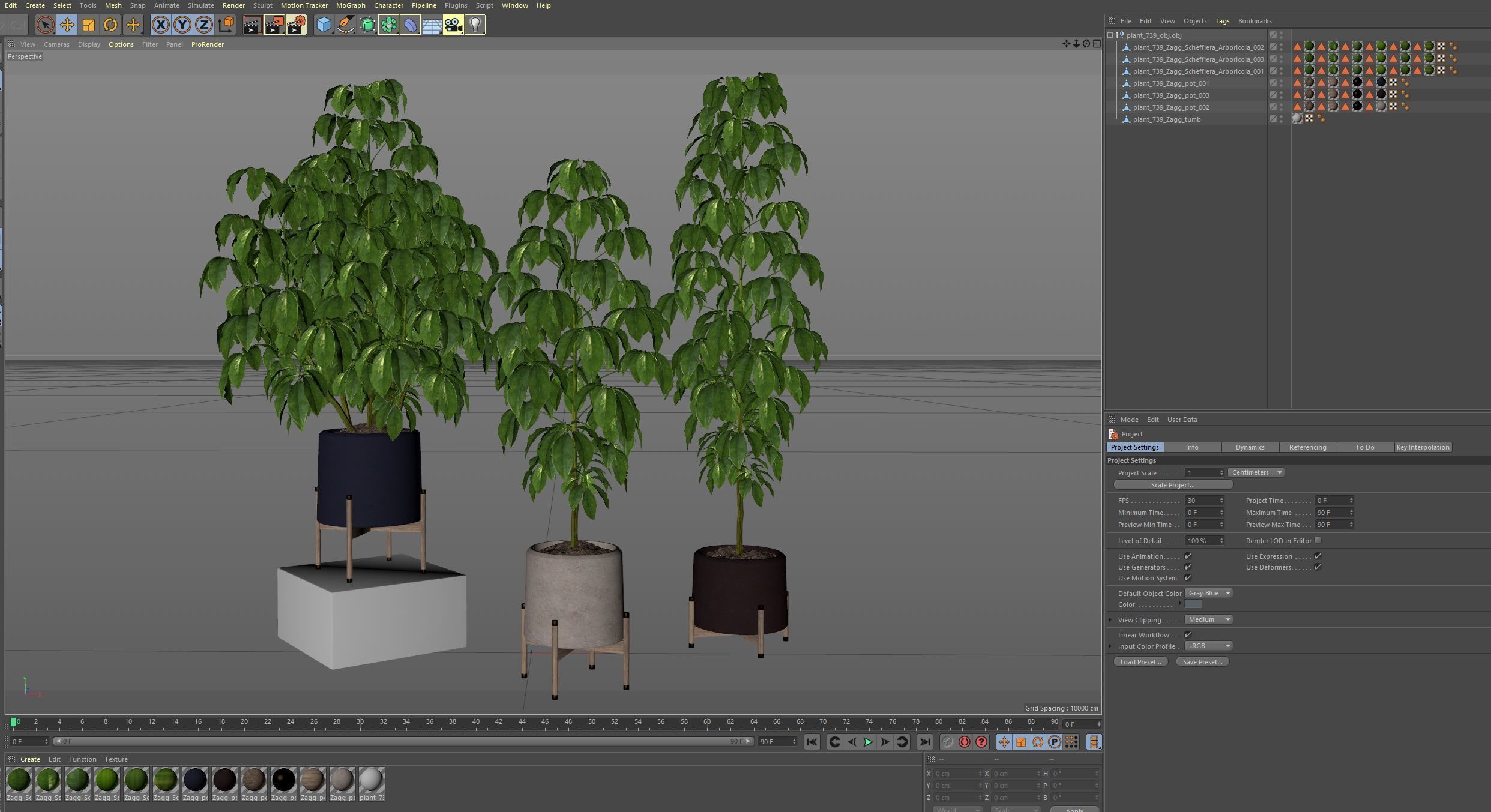 Plants collection 739 3D model_6