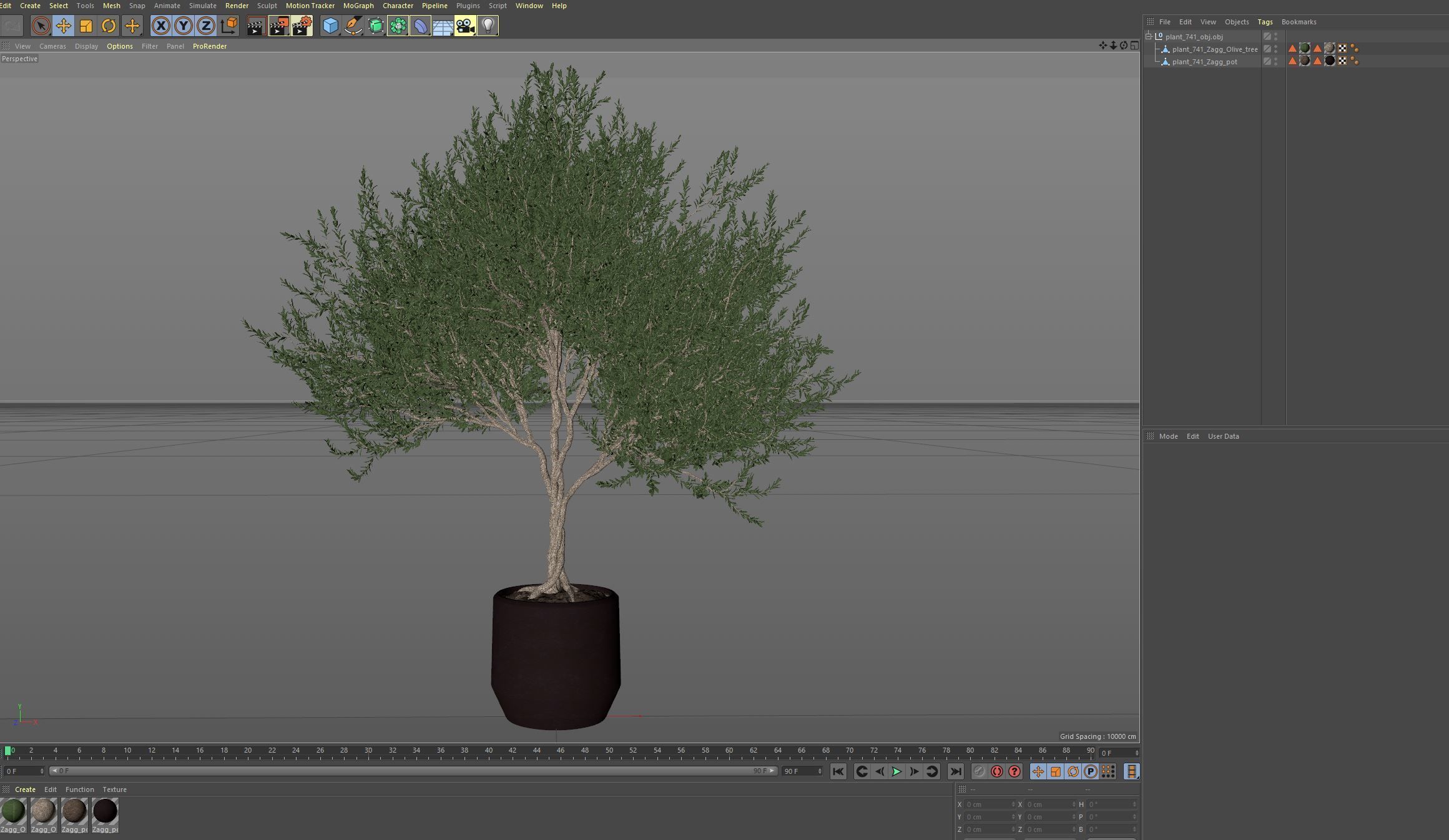 Plants collection 741 3D model_6