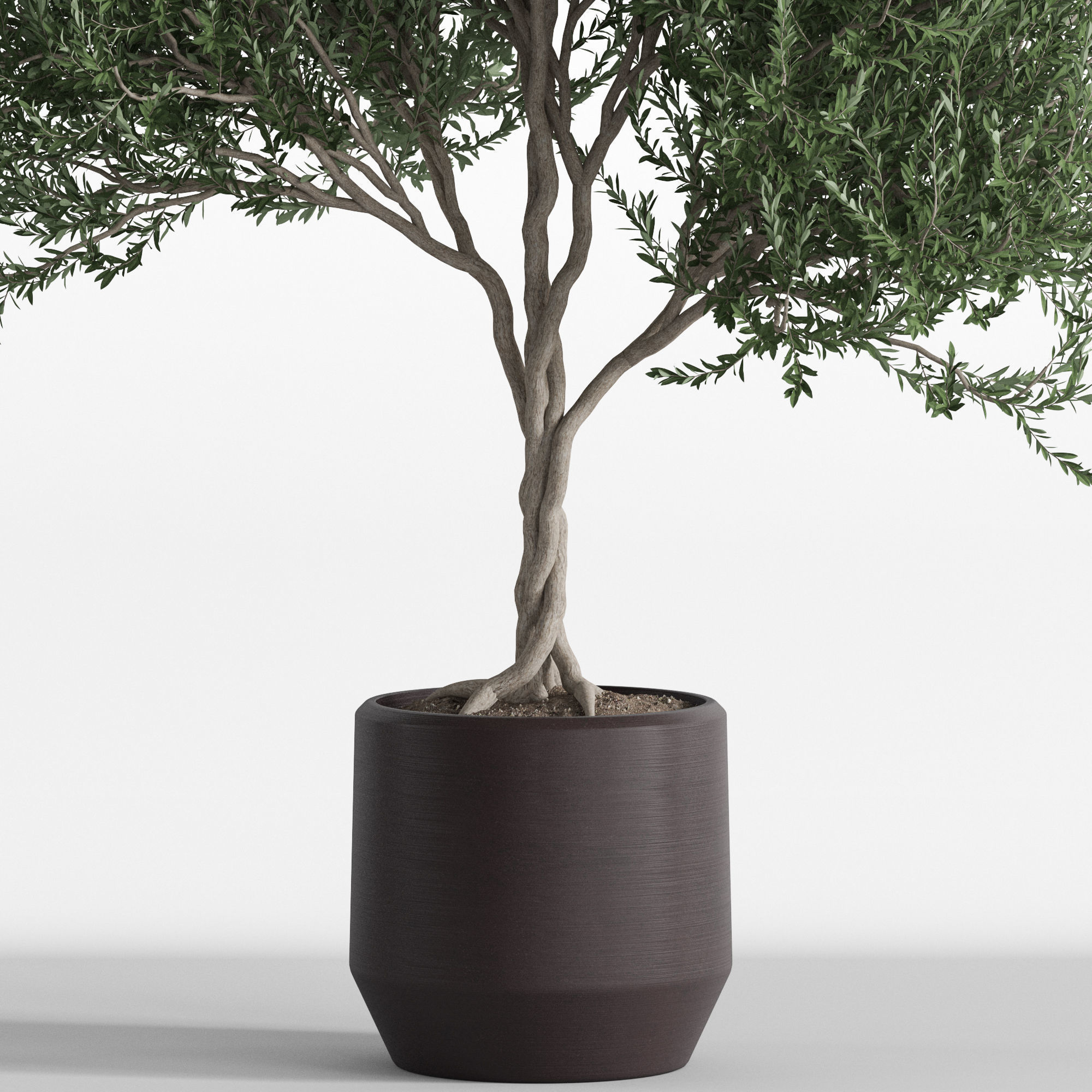 Plants collection 741 3D model_1