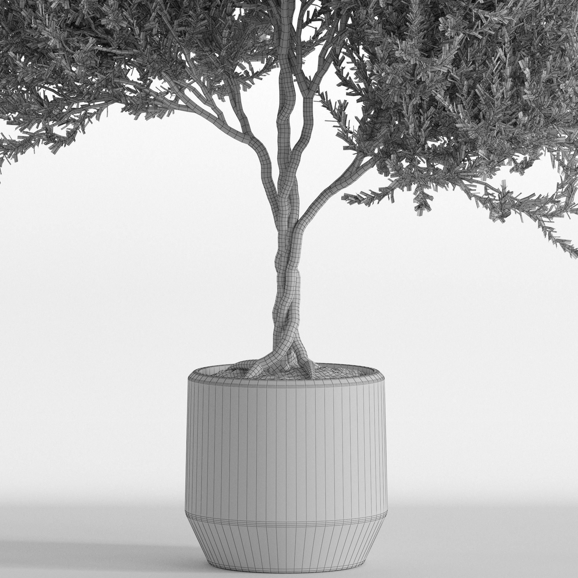 Plants collection 741 3D model_4