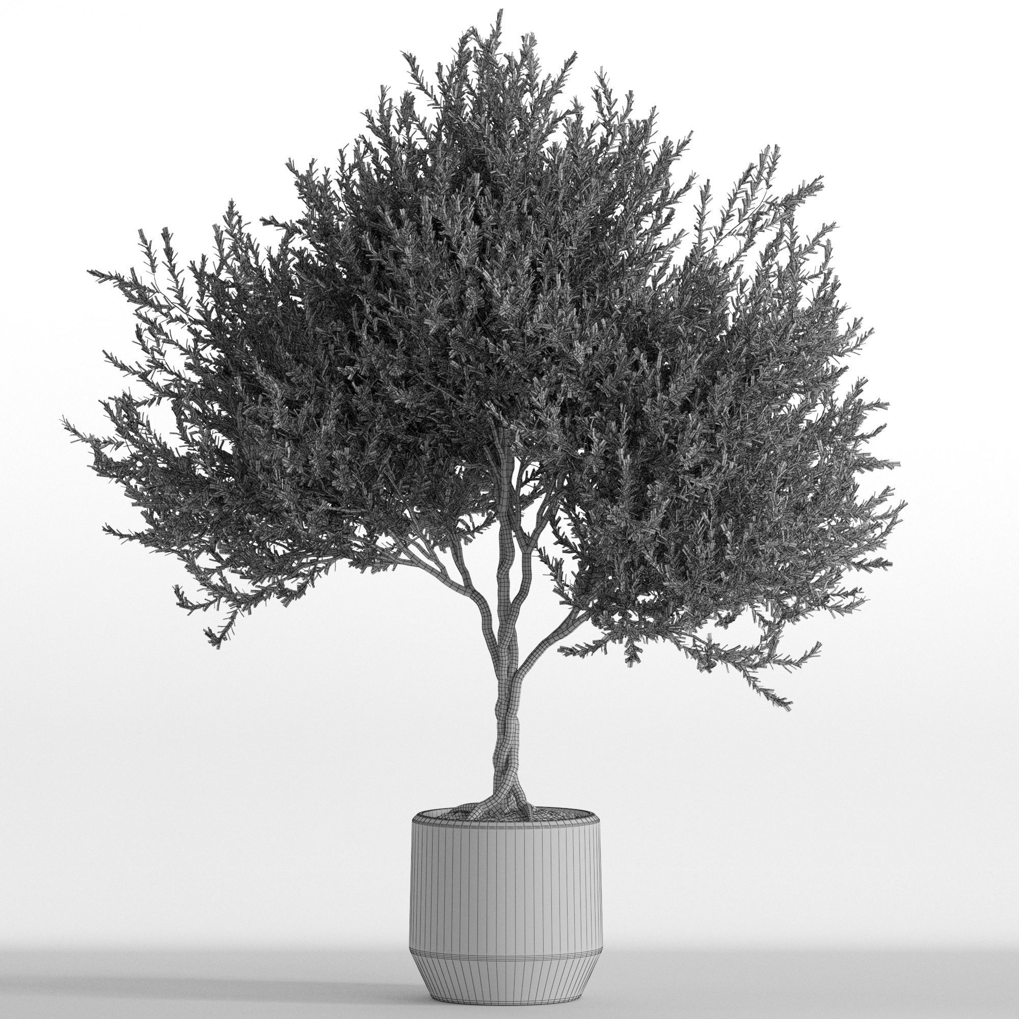 Plants collection 741 3D model_3
