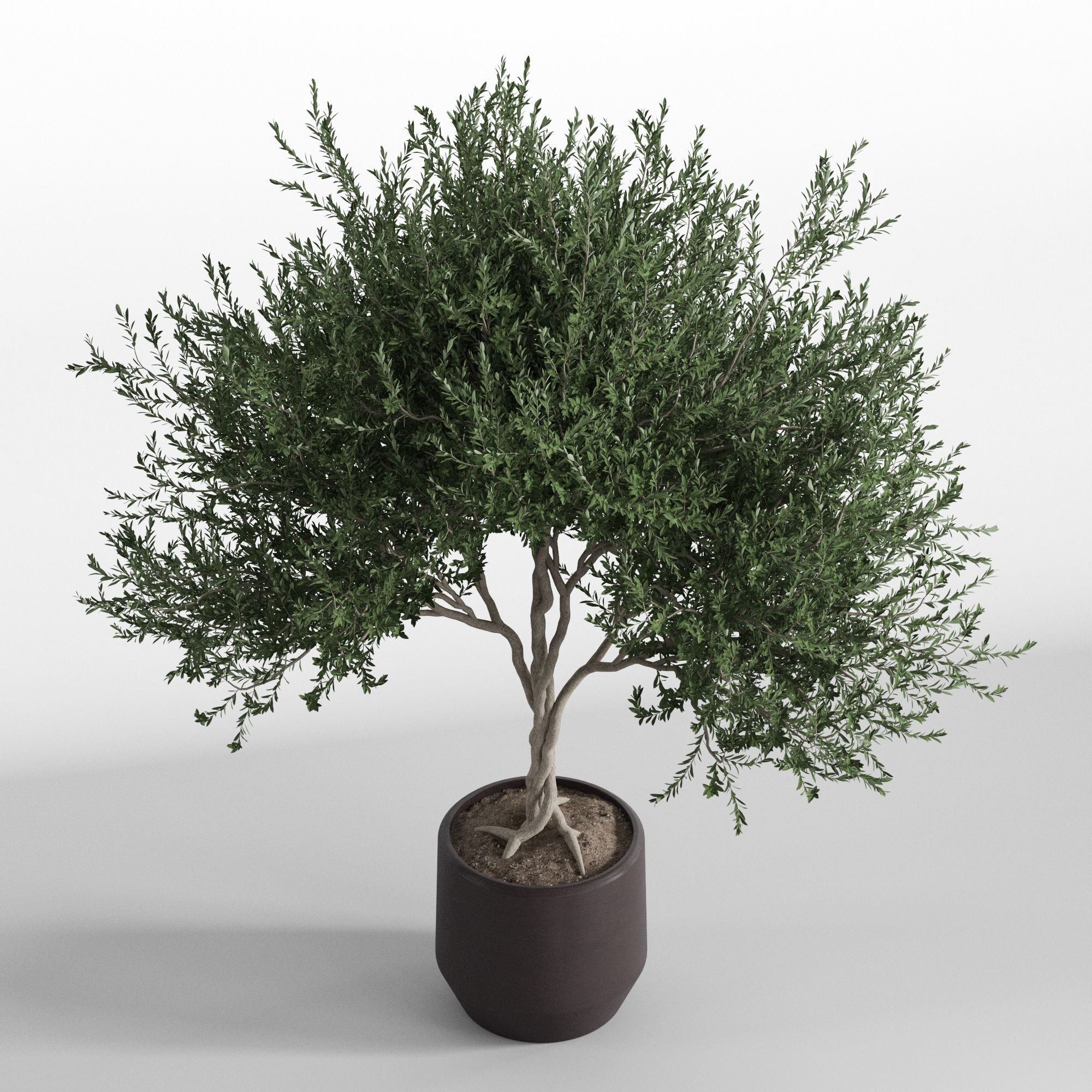 Plants collection 741 3D model_2