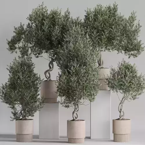 Plants collection 742