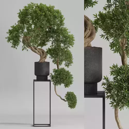 Plants collection 744