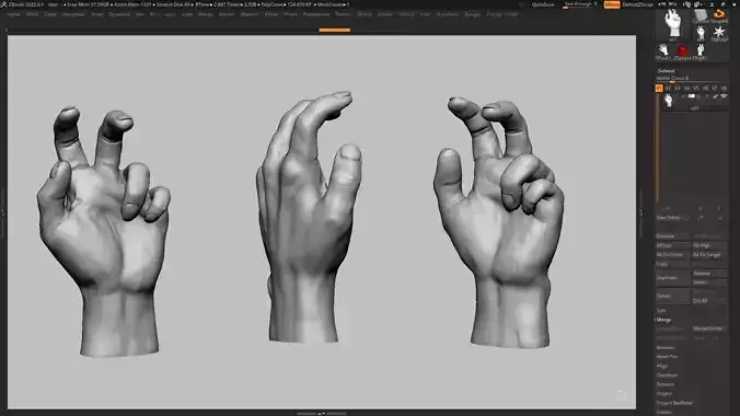 Hand pose 09 3d print model