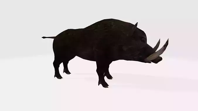 Boar 3d warthog