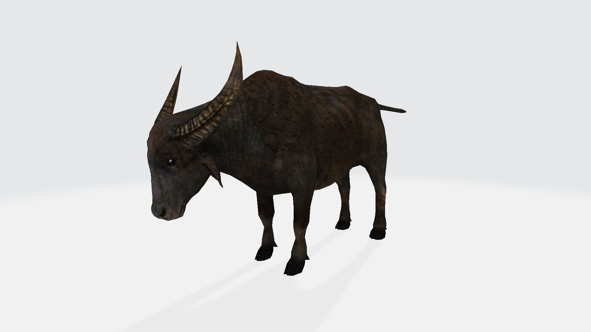 Buffalo animal with long horns 3D model_1