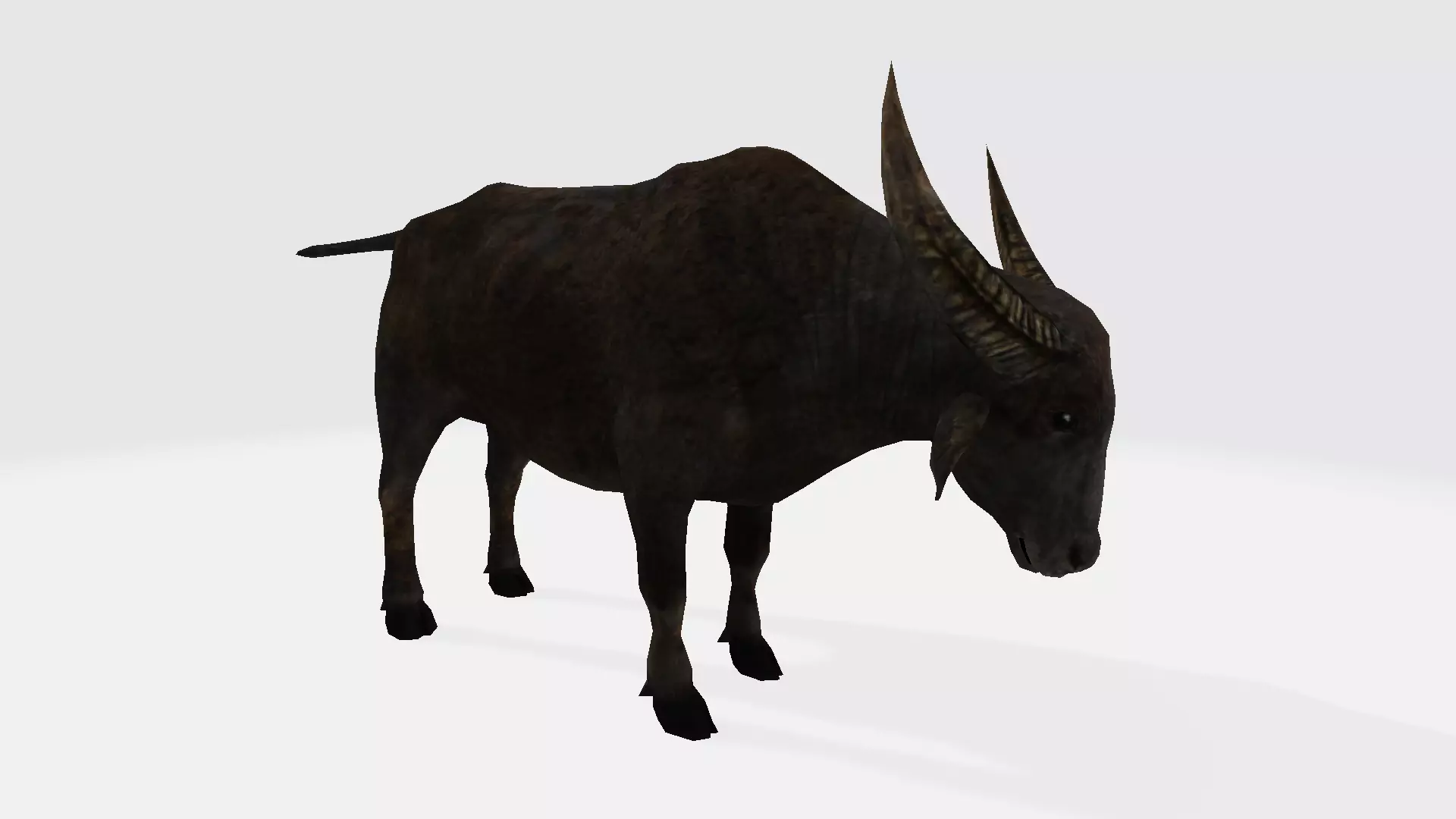 Buffalo animal with long horns 3D model_0