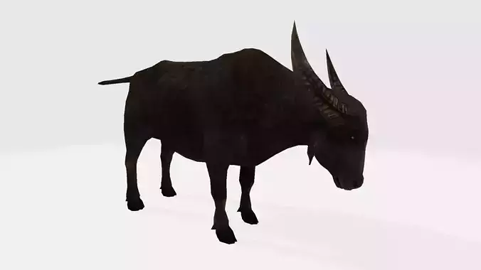 Buffalo animal with long horns