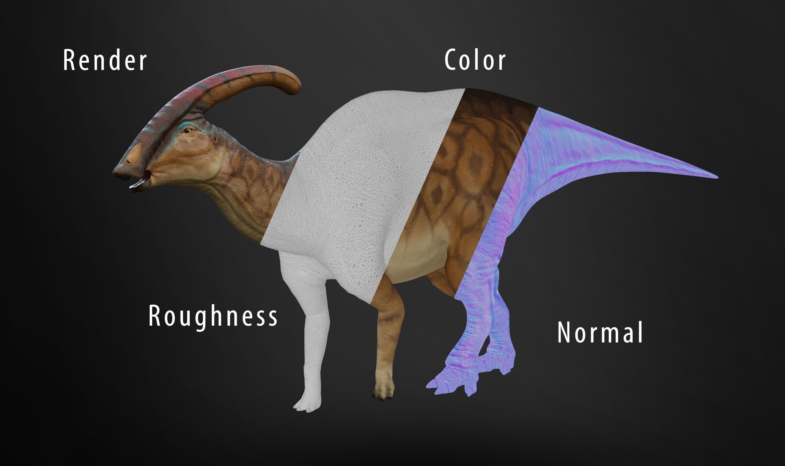 Parasaurolophus Low-poly RIG Low-poly 3D model_15