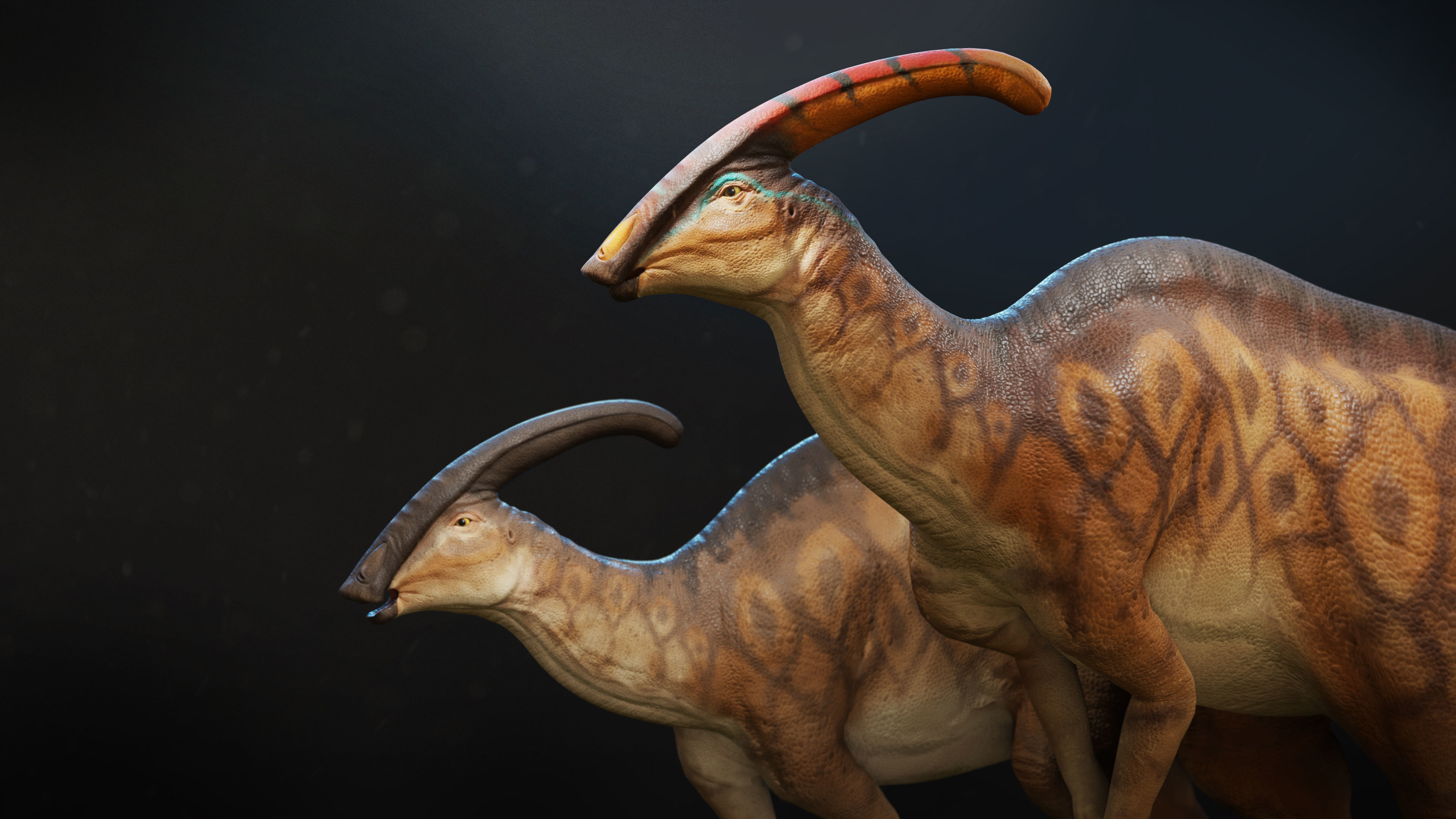 Parasaurolophus Low-poly RIG Low-poly 3D model_6