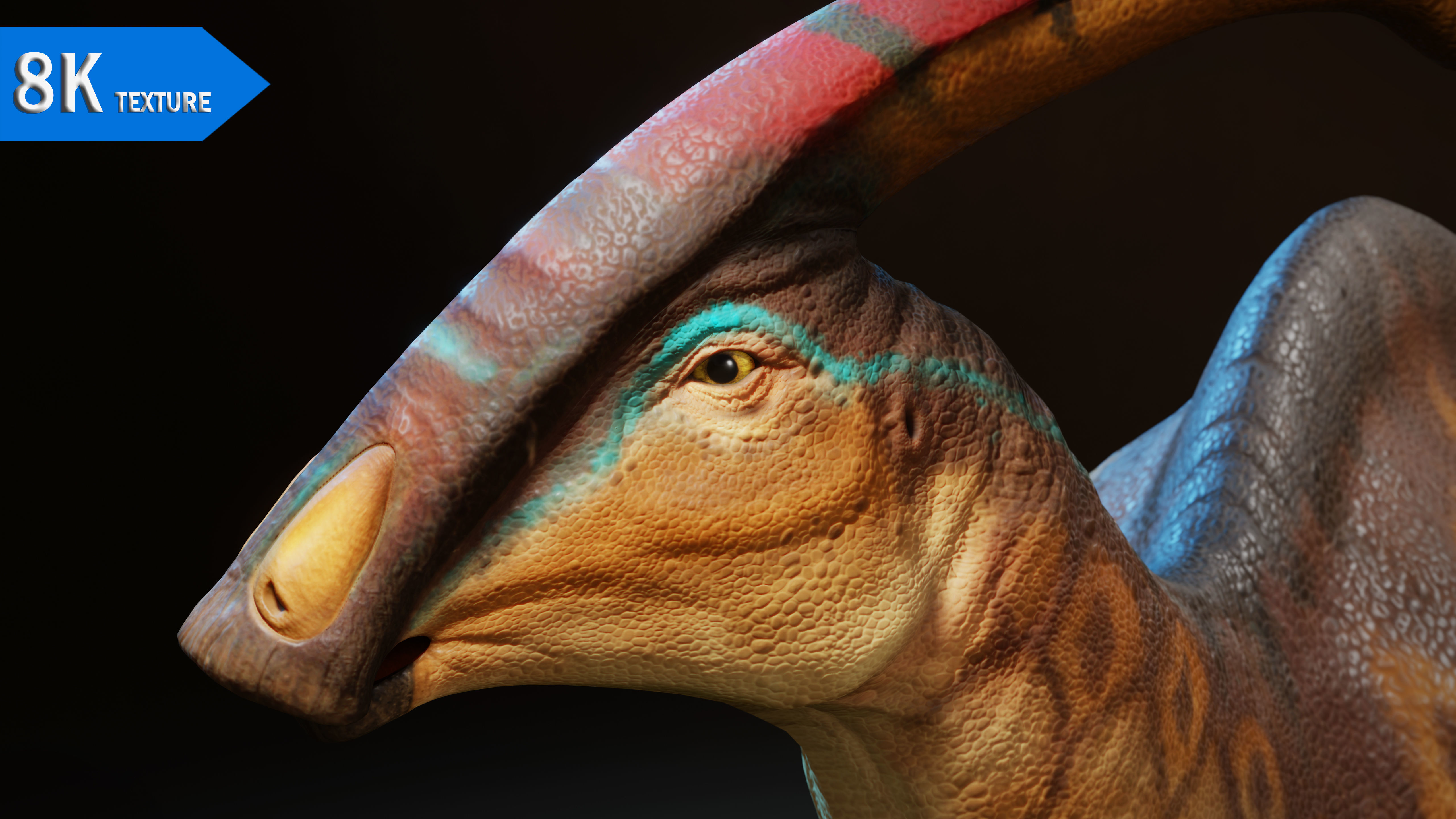 Parasaurolophus Low-poly RIG Low-poly 3D model_1