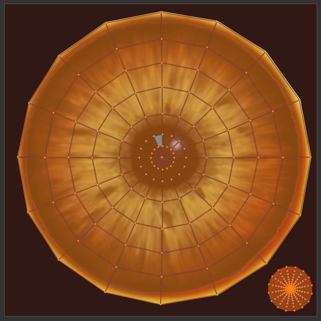 Parasaurolophus Low-poly RIG Low-poly 3D model_17