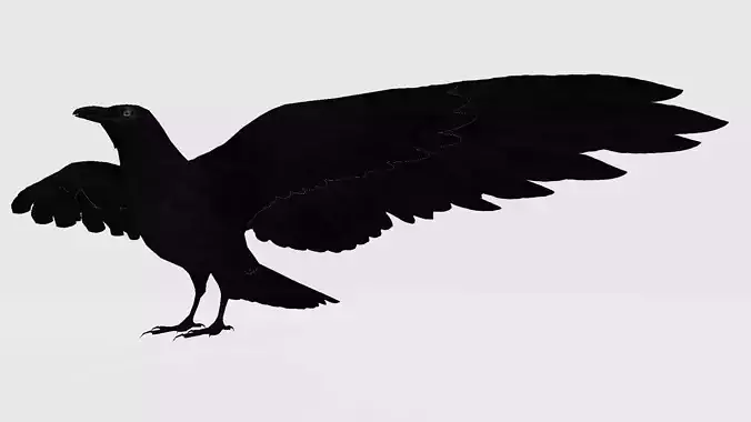 Crow 3d raven with wings spread 3D model