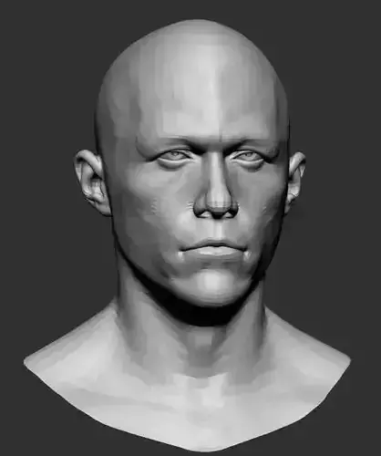 Male Head Base Mesh