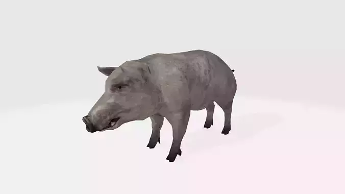 Pig 3d 3D model