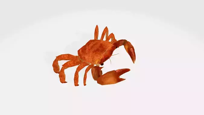 crab 3d