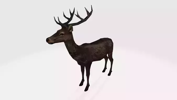 Deer 3d