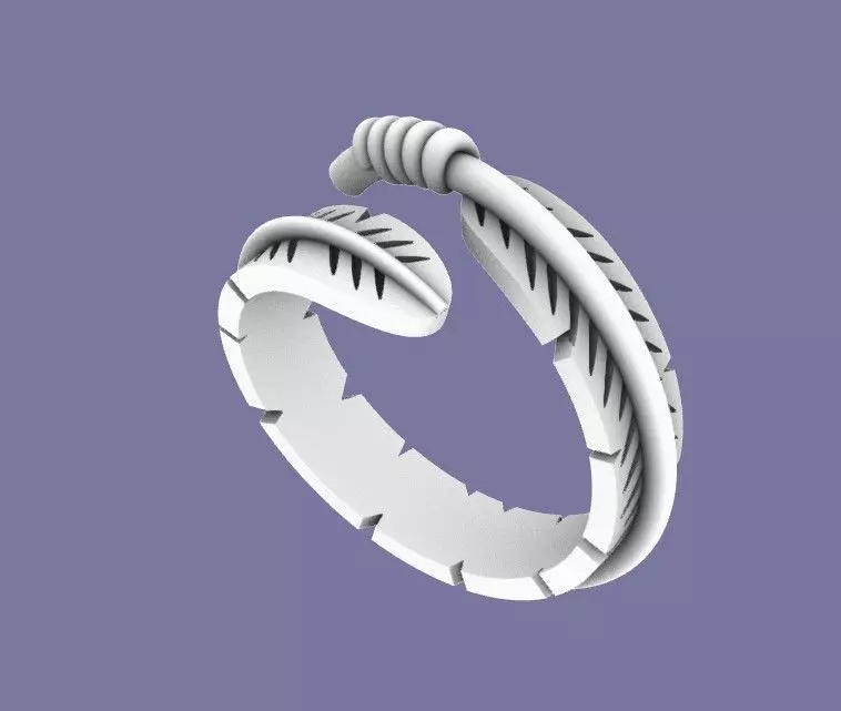 feather ring  3D print model_0
