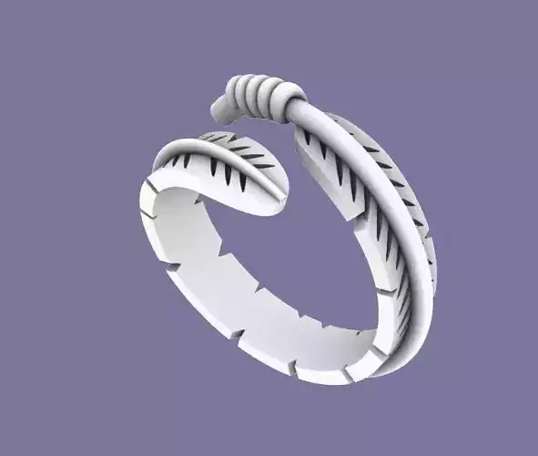 feather ring 