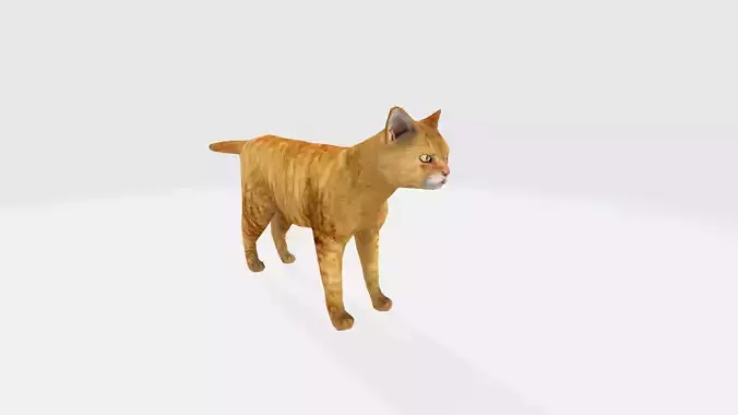 cat 3d orange