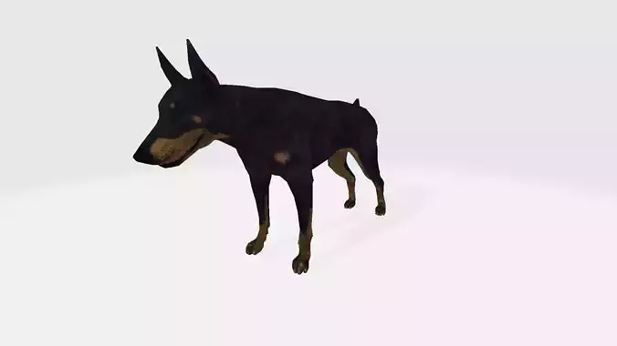 Doberman 3D model