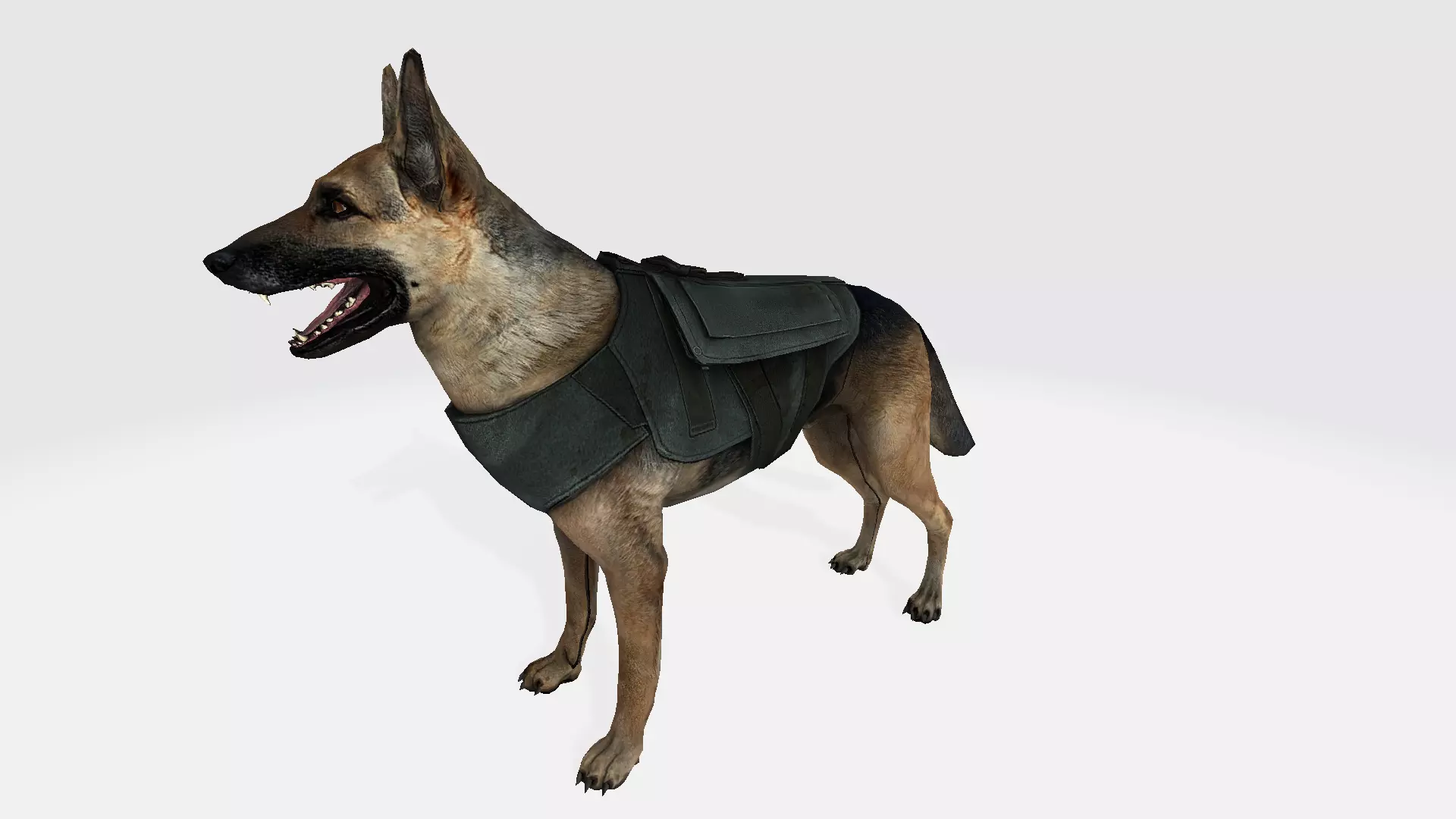 Dog 3d german shepherd wearing vest 3D model_0