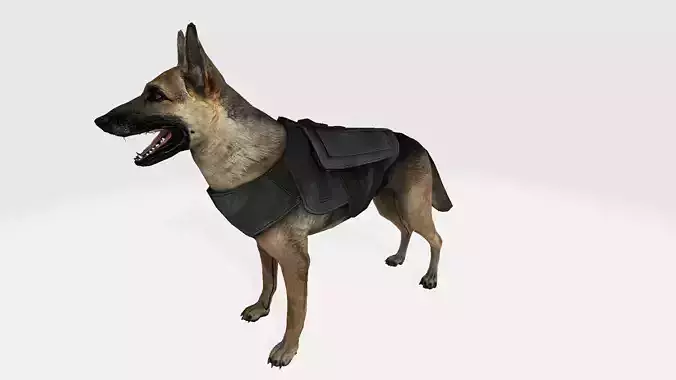 Dog 3d german shepherd wearing vest