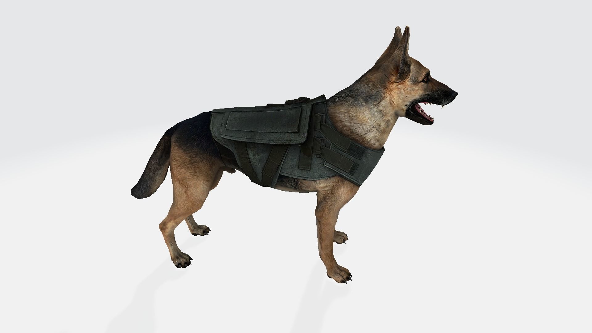Dog 3d german shepherd wearing vest 3D model_1