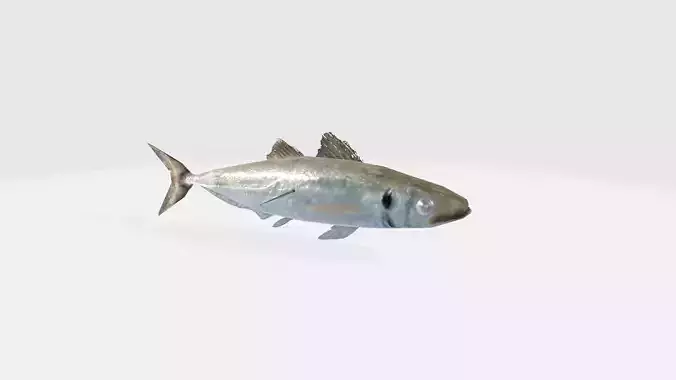 fish 3d