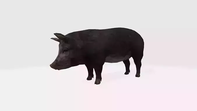 Pig 3d