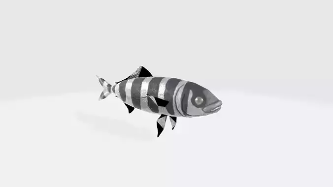 FISH 3d striped