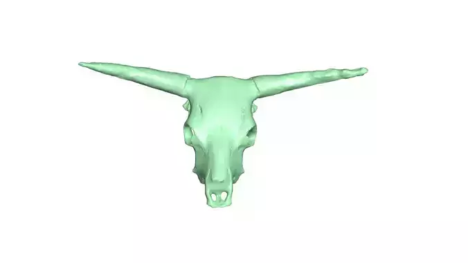cow skull 3D model