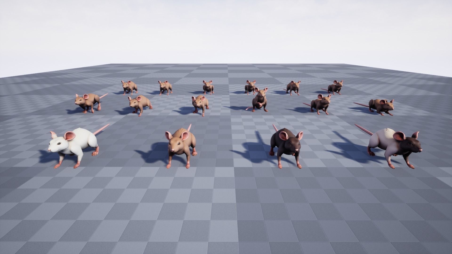 Mouse rat Low-poly 3D model_11